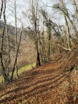 Hiver sans neige